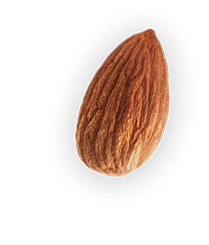 Almond