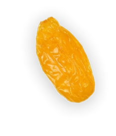 Raisin